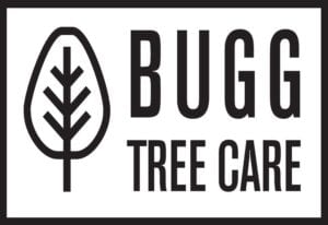 BUGG TREE CARE logo lockup with white background