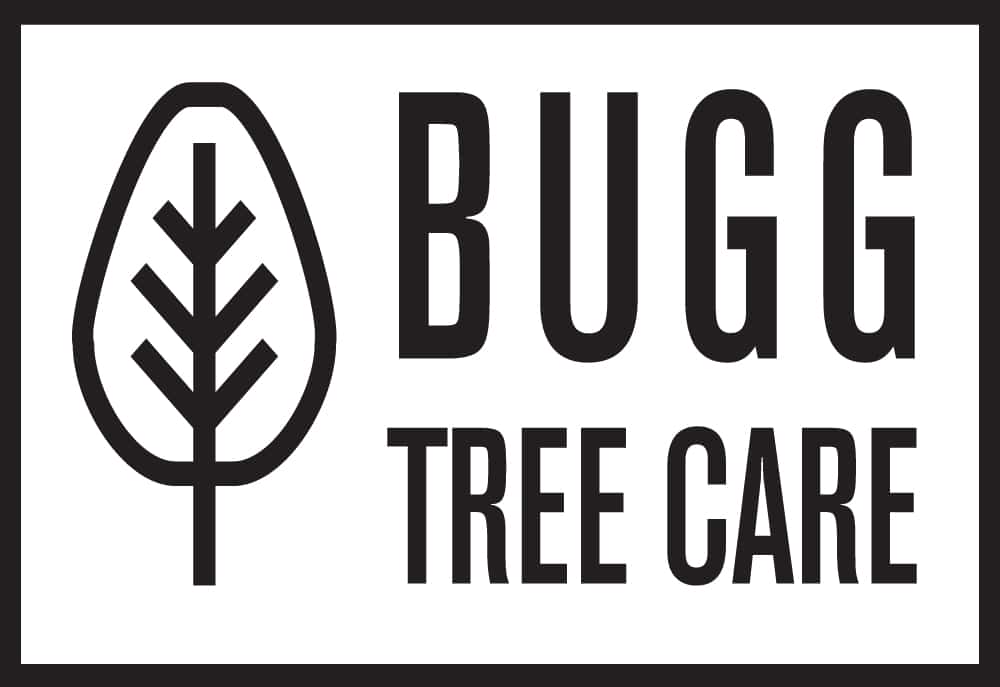 Bugg Tree Care Bugg Tree Care transparent rectangle logo
