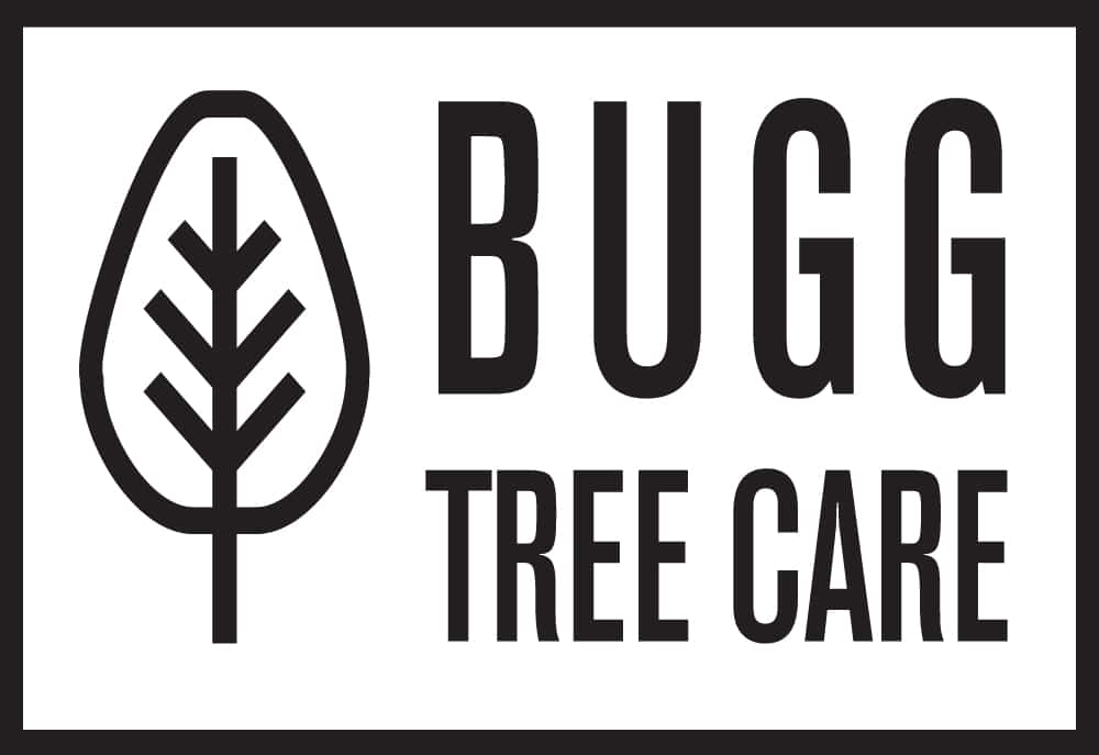 Bugg Tree Care transparent rectangle logo