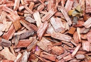 A pile of freshly cut wood chips