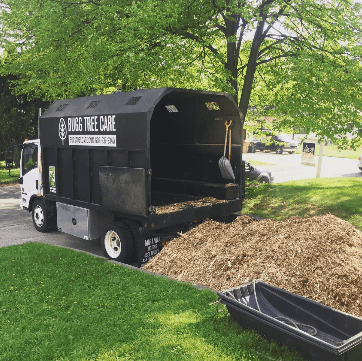 BUGG TREE CARE free wood chip delivery